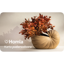 Elektroniczna Karta...