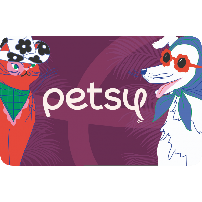 Voucher 300 zł na opiekę petsittera